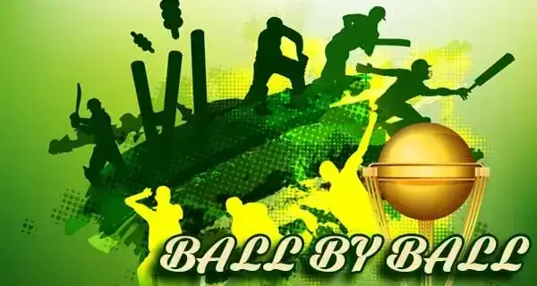 Ball by ball cricket format artwork